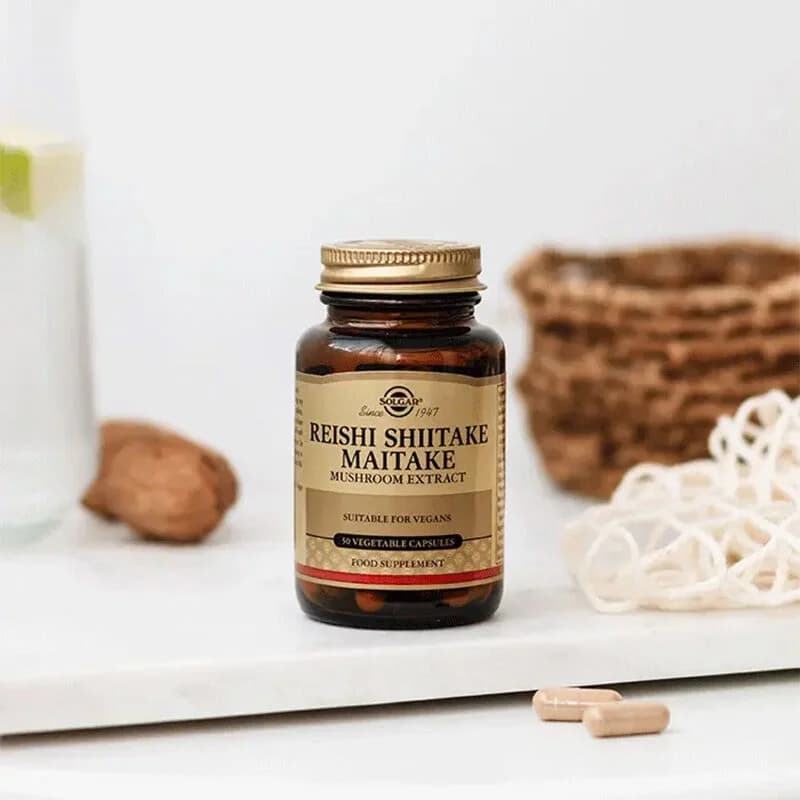 Simplifiez votre apport en champignons Reishi Shiitake Maita