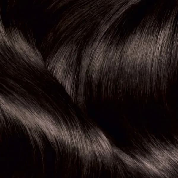 Garnier Striking Colors Hair Color 3.0 Striking Dark Brown